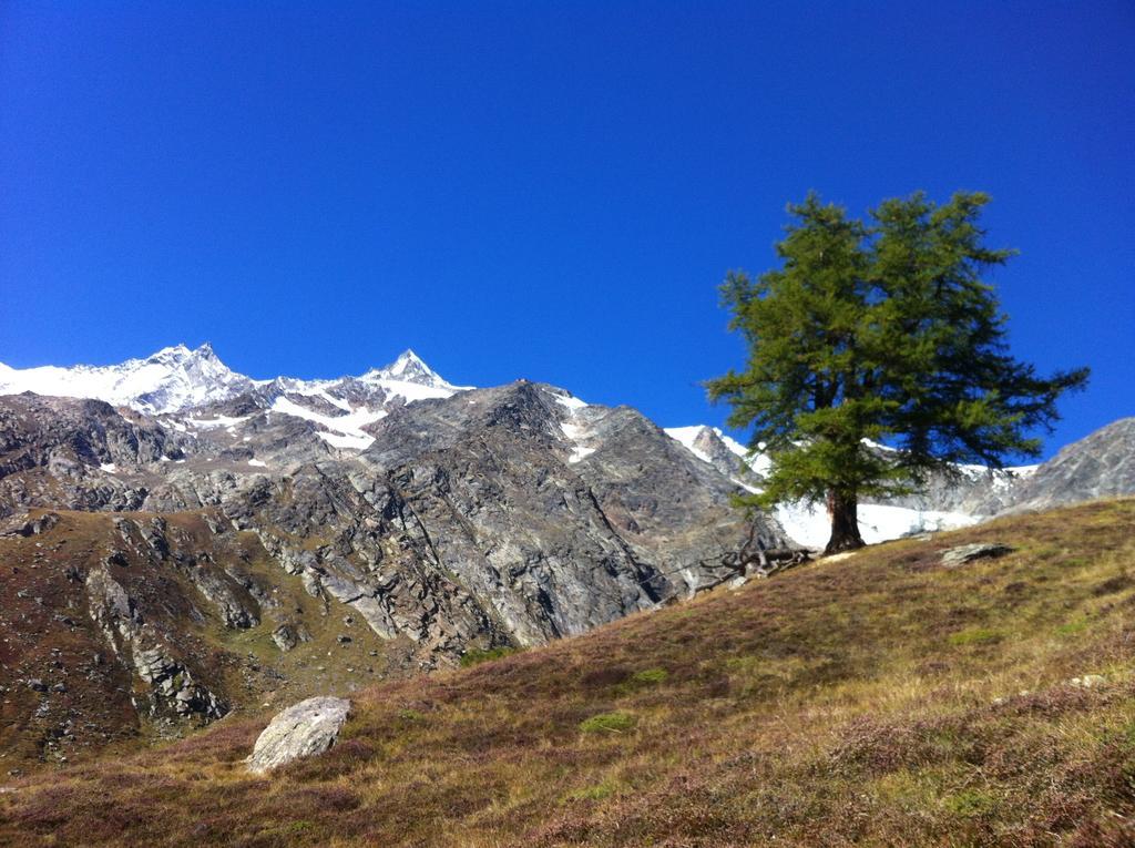 Apartmenthaus Sunshine Saas-Grund Dış mekan fotoğraf